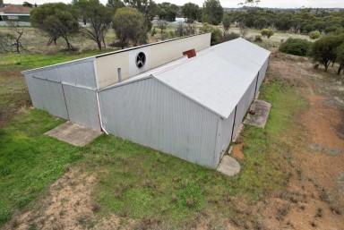 Residential Block Sold - WA - Beverley - 6304 - Fantastic Opportunity awaits at 18 Hunt Rd Beverley!                                  3.93ha  (Image 2)