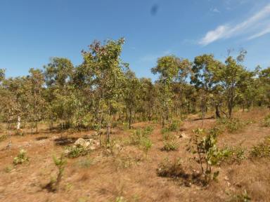 Residential Block For Sale - NT - Adelaide River - 0846 - Just under 500 Acres  (Image 2)