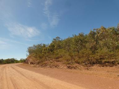 Residential Block For Sale - NT - Adelaide River - 0846 - Just under 500 Acres  (Image 2)
