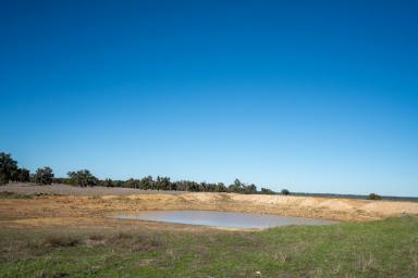 Other (Rural) Sold - WA - Mindarra - 6503 - 100 ACRE'S  - NOW SELLING  (Image 2)
