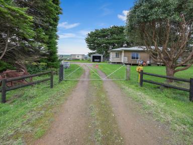 Lifestyle For Sale - VIC - Cooriemungle - 3268 - Lifestyle Opportunity  (Image 2)