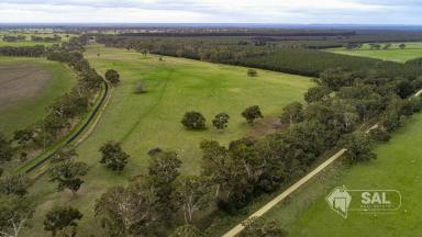 Farmlet Sold - VIC - Strathdownie - 3312 - Opportunity Awaits Lifestyle Allotment  (Image 2)