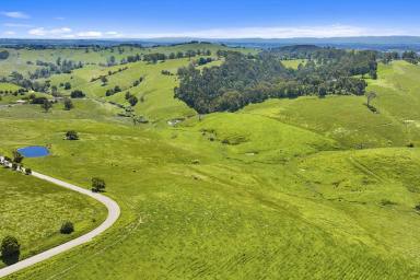 Other (Rural) For Sale - VIC - Mountain View - 3988 - 160 Acres- Warragul South - $6500 per acre  (Image 2)
