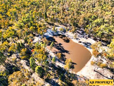 Lifestyle Sold - NSW - Coonabarabran - 2357 - PERFECT LIFESTYLE  AND GETAWAY BLOCK ON 580 ACRES  (Image 2)