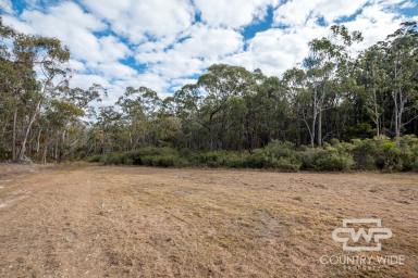 Lifestyle Sold - NSW - Dundee - 2370 - The Perfect Weekender Block  (Image 2)