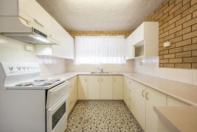 Unit For Lease - NSW - Grafton - 2460 - CITY CENTRE GROUND FLOOR UNIT  (Image 2)