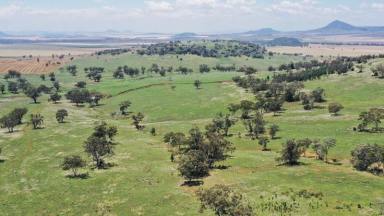 Other (Rural) Sold - NSW - Mullaley - 2379 - Wirraway East - Liverpool Plains Grazing  (Image 2)