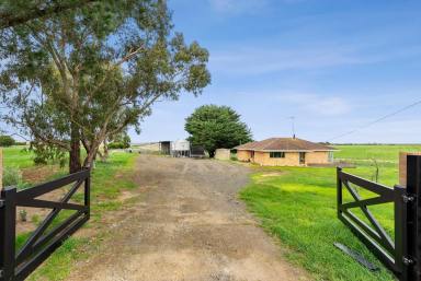 Lifestyle For Sale - VIC - Maude - 3331 - Exceptional Location - Brilliant Lifestyle - Investment  (Image 2)