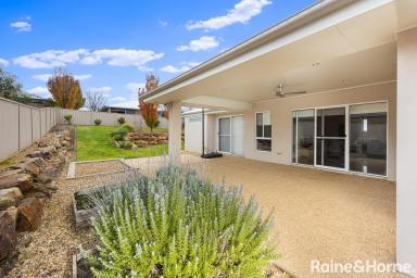 House Sold - NSW - Bourkelands - 2650 - Elevated Outlook in Family Locale  (Image 2)
