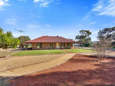 House Sold - SA - Wasleys - 5400 - Lifestyle living in Wasleys…….  (Image 2)
