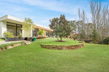 House Sold - VIC - Mansfield - 3722 - CONTEMPORY RESIDENCE ON THE BANKS OF FORD CREEK  (Image 2)