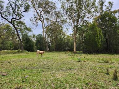 Other (Rural) For Sale - QLD - Wamuran - 4512 - Rare 40 acre property - your perfect rural escape at a recently reduced price!  (Image 2)