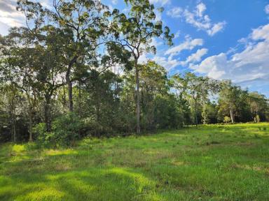 Other (Rural) For Sale - QLD - Wamuran - 4512 - Rare 41 Acre Property rural retreat or potential transport hub - Price Dropped!  (Image 2)
