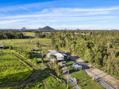 Lifestyle For Sale - QLD - Wamuran - 4512 - 4-Bedroom Workers Cottage on 40 acres Prime farming land - Reduced Price!  (Image 2)