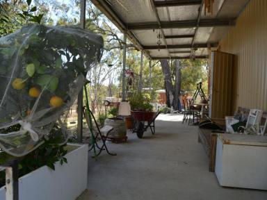 Lifestyle Sold - QLD - Cunningham - 4370 - LIFESTYLE OFF GRID, ERGON POWER CLOSE BY IF YOU WOULD RATHER MAINS  (Image 2)