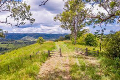 Residential Block Sold - NSW - Georgica - 2480 - Escape to Your Own Private Oasis on 100 Acres of Lush Land in Jiggi! Owner committed elsewhere  (Image 2)