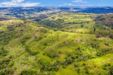 Residential Block Sold - NSW - Georgica - 2480 - Escape to Your Own Private Oasis on 100 Acres of Lush Land in Jiggi! Owner committed elsewhere  (Image 2)