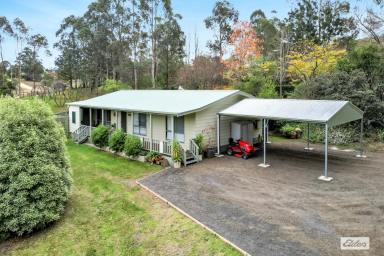 House Sold - NSW - Bemboka - 2550 - YOUR IDEAL BEMBOKA HIDEAWAY: COMFORT AND POTENTIAL AWAITS!  (Image 2)