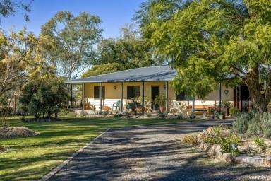House Sold - QLD - Athol - 4350 - Country Living Oasis: 2.5-Acre Retreat Near Toowoomba with Modern Comforts and Picturesque Views  (Image 2)