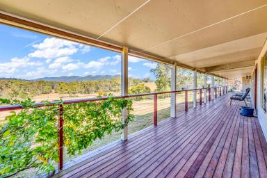 Lifestyle Sold - NSW - Weismantels - 2415 - Elevated Lifestyle Opportunity  (Image 2)