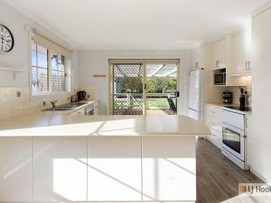 House Sold - TAS - North Motton - 7315 - A Blend of Country and Coastal Living  (Image 2)