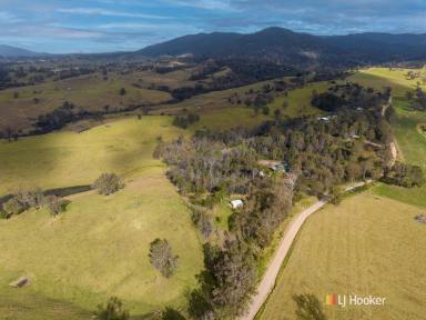 Residential Block Sold - NSW - Cobargo - 2550 - ENDLESS POSSIBILITIES IN COBARGO  (Image 2)