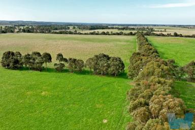 Lifestyle Sold - VIC - Hillside - 3875 - Ultimate Country Lifestyle  (Image 2)