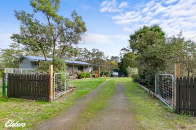 Farmlet Sold - VIC - Woodside - 3874 - COUNTRY LIVING NEAR THE COAST  (Image 2)