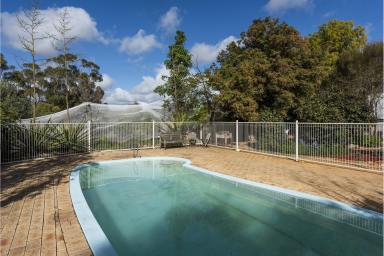 Mixed Farming Sold - WA - Talbot - 6302 - "HILLSIDE" - PIMMS WITH TENNIS OR STRAWBERRIES & CREAM IN THE GARDENS BY THE POOL  (Image 2)