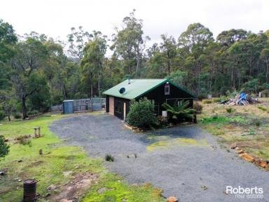 Lifestyle Sold - TAS - Turners Marsh - 7267 - Bush Block on near 40 Acres of Land (Now Under Contract)  (Image 2)