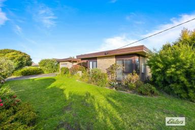 House Sold - VIC - Ararat - 3377 - An outstanding opportunity right here  (Image 2)