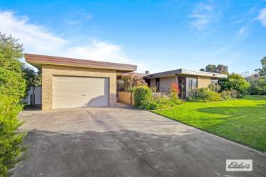 House Sold - VIC - Ararat - 3377 - An outstanding opportunity right here  (Image 2)
