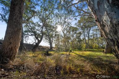 Residential Block For Sale - VIC - Wangaratta - 3677 - A Gem with a View  (Image 2)