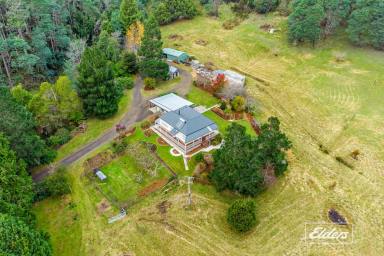 Lifestyle Sold - TAS - Underwood - 7268 - COUNTRY CHARM WITH CBD PROXIMITY  (Image 2)