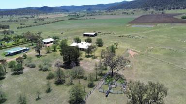 Lifestyle Sold - nsw - Muswellbrook - 2333 - Permanent Creek Frontage  (Image 2)