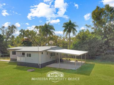 House For Sale - QLD - Mutchilba - 4872 - RENOVATED HOME ON 5560m2  (Image 2)