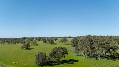 Acreage/Semi-rural For Sale - WA - Mindarra - 6503 - "Expansive 300 Acres with a Charming Residence"  (Image 2)