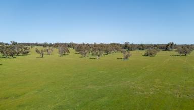 Acreage/Semi-rural For Sale - WA - Mindarra - 6503 - "Expansive 300 Acres with a Charming Residence"  (Image 2)