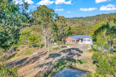 Lifestyle Sold - NSW - Martins Creek - 2420 - Dream Home In It's Final Stages  (Image 2)
