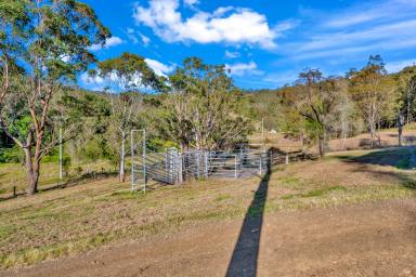 Lifestyle Sold - NSW - Martins Creek - 2420 - Dream Home In It's Final Stages  (Image 2)