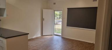 Unit For Lease - NSW - Moree - 2400 - 1/19 Condor Crescent, Moree  (Image 2)