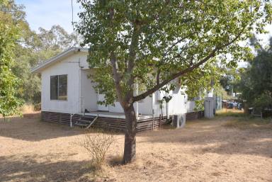 House Sold - NSW - Ashley - 2400 - AFORDABLE HOME ON A LARGE 2023M2 BLOCK  (Image 2)