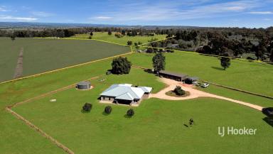 Acreage/Semi-rural Sold - NSW - Inverell - 2360 - SOLD BY LJ HOOKER INVERELL  (Image 2)