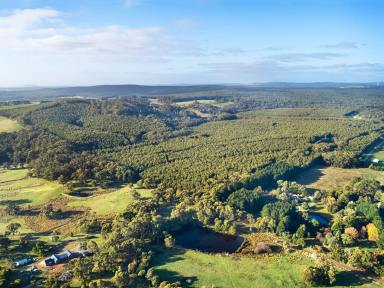 Lifestyle For Sale - VIC - Rocklyn - 3364 - 139.16HA (343.89 Acres) - Forestry Asset Selling Post Harvest  (Image 2)
