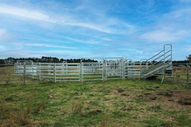 Acreage/Semi-rural Sold - NSW - Canyonleigh - 2577 - Prime 100 acres with Scenic Landscape & Elevated Views  (Image 2)