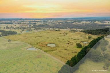 Acreage/Semi-rural Sold - NSW - Canyonleigh - 2577 - Prime 100 acres with Scenic Landscape & Elevated Views  (Image 2)