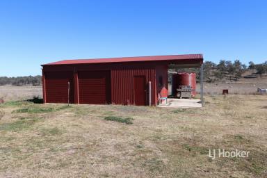 Residential Block Sold - NSW - Swanbrook - 2360 - SOLD BY LJ HOOKER INVERELL  (Image 2)