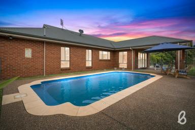 House Sold - NSW - Singleton - 2330 - Beautiful family home at The Retreat!  (Image 2)