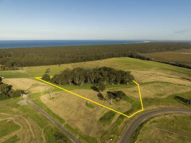 Residential Block Auction - NSW - Berry - 2535 - 10 Acres Just Minutes to the Beach  (Image 2)