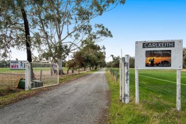 House Sold - WA - North Dandalup - 6207 - Calling All Horse Lovers: Embrace Your Equestrian Dream!  (Image 2)